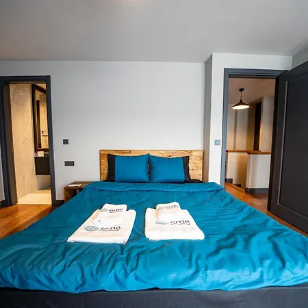 Beyoglu Benesta Residence, 2 Bedroom Duplex No-229 Appartamento Provincia di Istanbul
